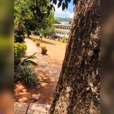 Img 20230109 Wa0055 1