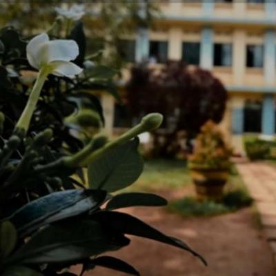 Img 20230109 Wa0069 1