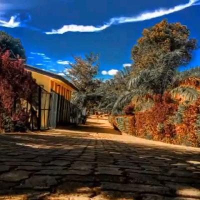 Img 20230109 Wa0071 1