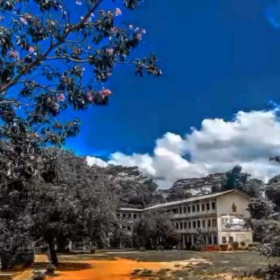 Img 20230109 Wa0072 1