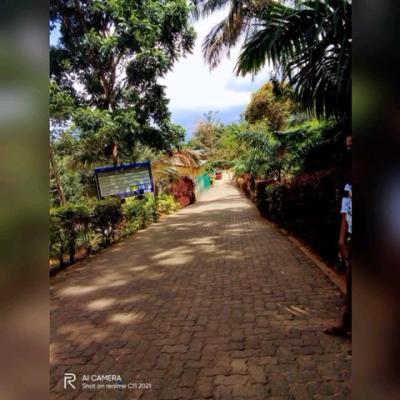 Img 20230109 Wa00791